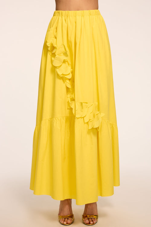 Bridget Embellished Cotton Midi Skirt
