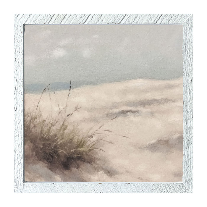 Sand Dunes