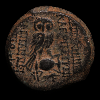 Seleucid Empire, Antiochus VIII Grypus and Cleopatra Thea, AE Unit - 123 to 122 BCE - Greek World