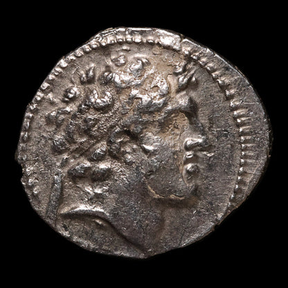 Seleucid Empire, King Alexander I Balas, AR Drachm, Apollo (Major Greek God) - 149 to 147 BCE - Greek World