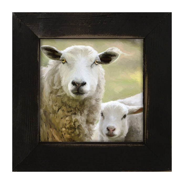 Sheep and Lamb - Framed Art