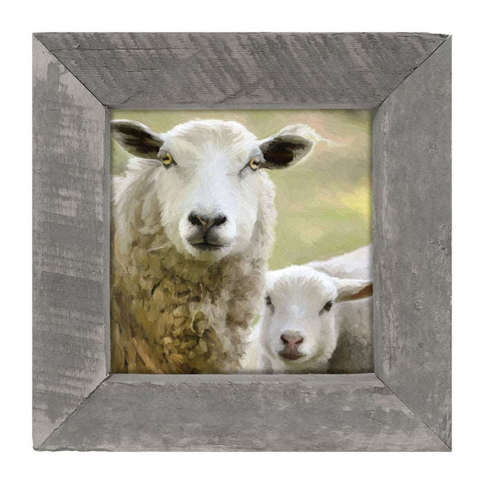 Sheep and Lamb - Framed Art
