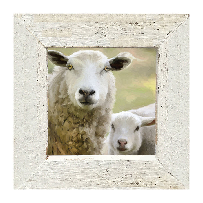 Sheep and Lamb - Framed Art