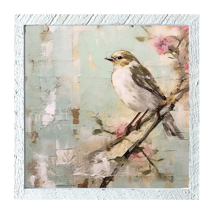 Small white-breasted bird
