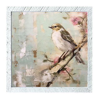 Small white-breasted bird