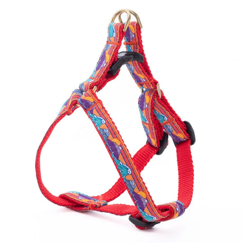 Teacup Harness | Surf & Ski