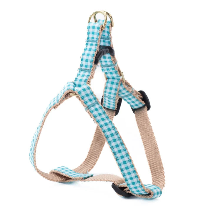 Teacup Harness | Turquoise Gingham