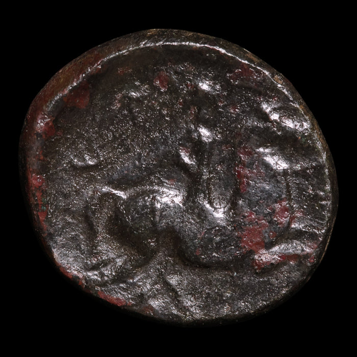 Thessaly, City States of Pelinna, AE Unit, Mantho & Horseman - c. 300 to 200 BCE - Ancient Greece