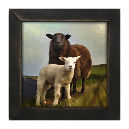 Two Sheep - Framed Art