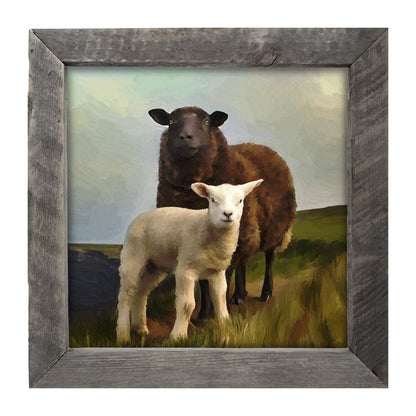 Two Sheep - Framed Art