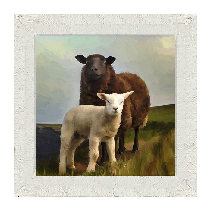 Two Sheep - Framed Art