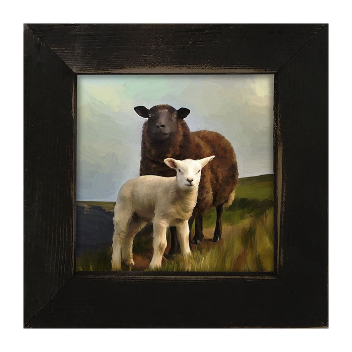 Two Sheep - Framed Art
