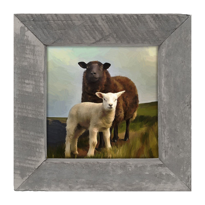 Two Sheep - Framed Art