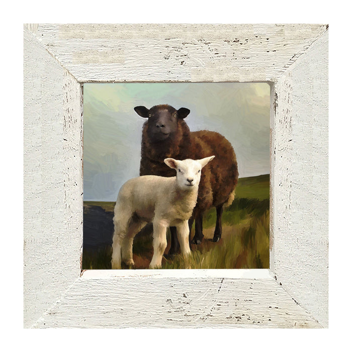 Two Sheep - Framed Art