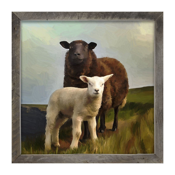 Two Sheep - Framed Art