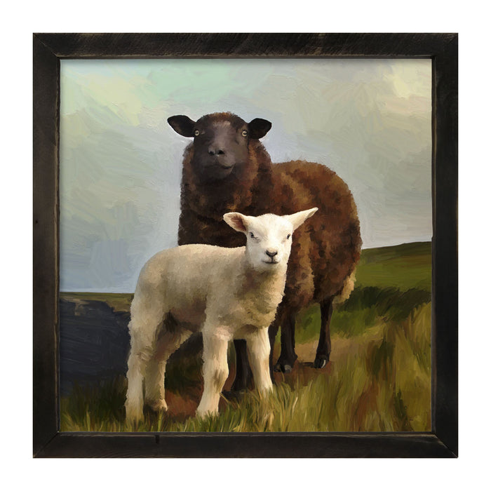 Two Sheep