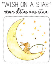 Wish On A Star Suction Bowl