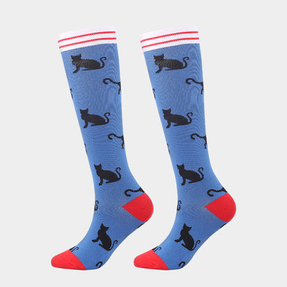 Blue Background Cat / LXL